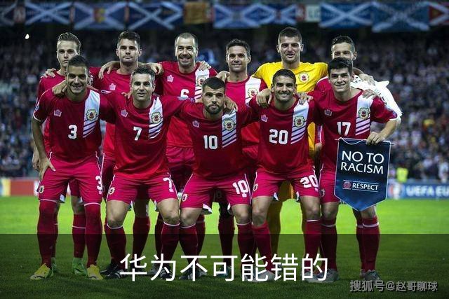 华为不可能错的